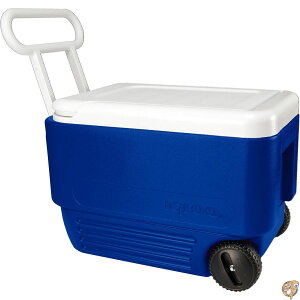 igloo(�C�O���[) �z�C�[���N�[���[ 38 �N�[���[�{�b�N�X (36L) �}�W�F�X�e�B�b�N�u���[ #45004