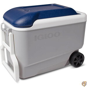igloo(�C�O���[) �}�b�N�X�R�[���h 40 �z�C�[�� (38L) 34723