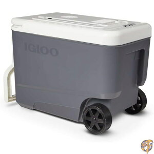 Igloo �M�d�� �A�C�X���X 28-40�N�H�[�g �d�C�v���O�C�� 12V �N�[���[