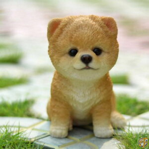 hi-line�M�t�gLtd�BSitting Pomeranian Puppy Garden Statue 6 87771-K