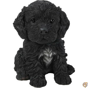 Hi-Line Gift Ltd Sitting Cockapoo Puppy Statue