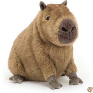 Jellycat Clyde Capybara �ʂ������