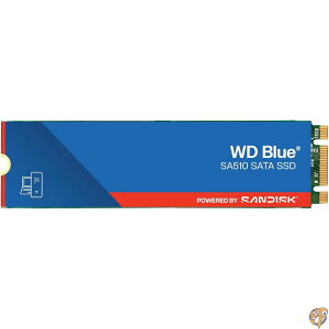 Homos Western Digital 2TB WD Blue SA510 SATA ����SSD - III 6Gb/s, M.2 2280, �ő�ǎ摬�x560MB/�b WDS200T3B0B