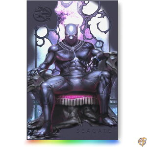 �y�ő�2000�~�N�[�|���zSeagate HDD �O�t���n�[�h�f�B�X�N 2TB FireCuda King of Wakanda USB
