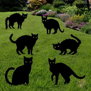 L nEB fR[V pŔ nEB[ 6pbN Yt ˂ lR sCȔL̏ O  ڂ̃XebJ[