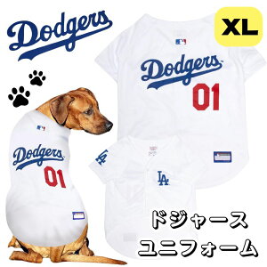 y1000~/555~N[|zMzp T[XhW[X jtH[ ^ Los Angeles Dodgers ybgpW[W MLB XL 傫TCY 傫 Ck  AJAi