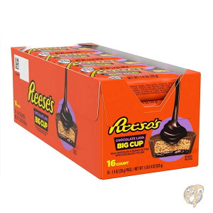 y|Cg3{!42028ԁzREESE'S [X rbOJbv `R[g o ~N`R[g s[ibco^[Jbv LfBpbN َq 39g (16)