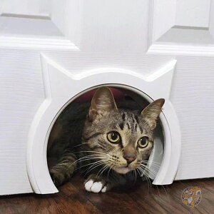 LbghA LhA S ybgph~Q[gb` ő21|h 9.5kg ̔Lp LeBpX The Kitty Pass