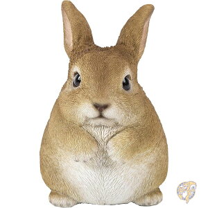 y1000~/555~N[|26ԁz u CeA 둕 `r[rbg X^fBO nCCMtg Hi-Line Gift Ltd