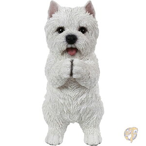 y|Cg3{4&5zCeA 둕 zCg EFXeB ps[ X^`[  u K[ft@j`[ Hi-Line Gift Ltd nCCMtg