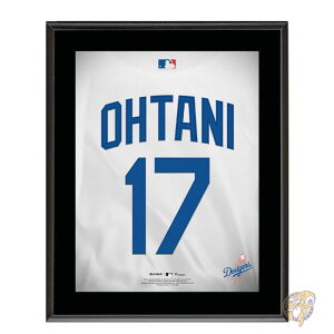 y|Cg3{4&5zJĕ Los Angeles Dodgers T[X hW[X t@^XeBbNX { 10.5" x 13" 27cm x 33cm W[Wԍ W[W t[