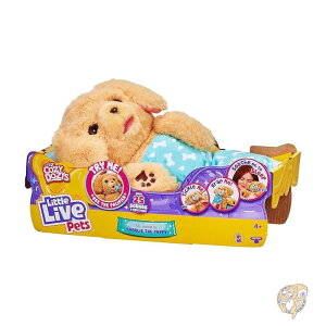 ySi555~N[|zMzLittle Live Pets gCuybg Cozy Dozys q̃`[[ C^NeBuȂʂ  25 ވȏ̉Ɣ @̂悤Ȗڂ̓ uPbg 