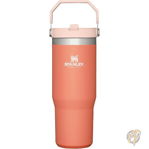 STANLEY X^[ IceFlow XeXX`[^u[ ^fM EH[^[{g ƒ ItBX  ėp\Jbv Xg[t Rh~ tbv 12 ۗ 2 X O[vt