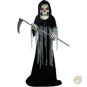 [VANeBx[g 8.5tB[g 259cm 厀_ g[LO XPAvbv Aj}gjNX TEhGtFNg Cgt  t nEB nEB[ fR[V 