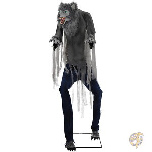 7tB[g 213cm тTj [VANeBx[g Aj}gjNX  t O sC p nEB nEB[ fR[V  AJ z[ebhq