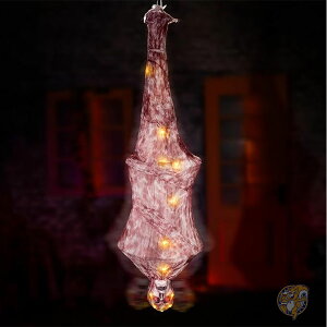 nEB[ Aj}gjNX 5.6tB[g 170cm    ~C ݂艺 ̃fR[V TEh쓮   ~ z[ g nEB nEB[ fR[