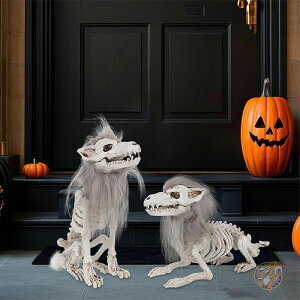 nEB[ XPg Et fR[V 2pbN g  XPg vX`bN  t EtXJtBMA e[u  Ő p[eB[ nEB n