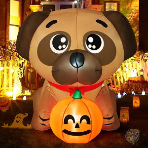 nEBCt[^u  Op  5tB[g 154cm pO J{` p[eB[  Ő nEB nEB[ fR[V  AJ COMIN J~