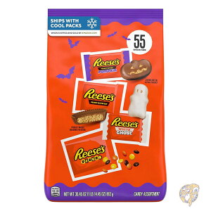 y1000~OFFN[|10/1zREESE'S [V[Y A\[gt[o[ XibNTCY s[ibco^[ nEB LfBobO 30.45IX 863g i55j َq