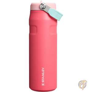Stanley X^[ IceFlow tbvXg[ 2.0 EH[^[{g Xg[ y Rɂ fMXeXX`[ BPAt[ XCJ 24IX 709ml