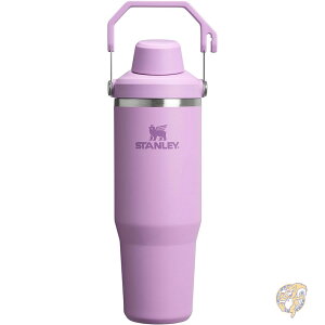Stanley X^[ IceFlow 2.0 t@Xgt[ ^u[ nht cCXgI ΂ߒW Rh~ EH[^[{g fMXeXX`[ BPAt[ CbN 30IX 887ml