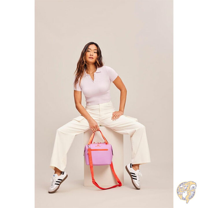 楽天市場】スタンレー Stanley All Day Julienne ソフトクーラーバッグ ランチボックス ジッパー付き 断熱 トラベルバッグ  BPAフリー 保冷 ライラック : パームスアメリカ