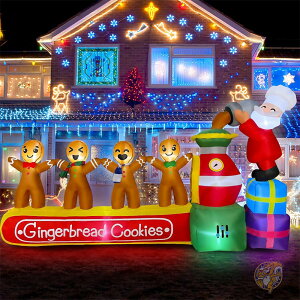  213cm  NX}X WW[ubh NbL[}V fR[V Ct[^u c܂郉CgtfR[V  O zf[A[g C~l[V BLOWOUT FUN 