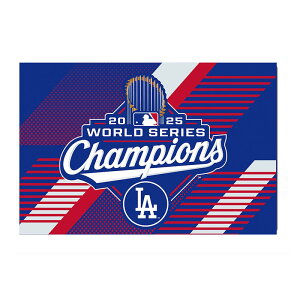 y300~N[|zMzT[XEhW[X 2025 [hV[YD 19C` x 30C` 48.3cm × 76.2cm }bg 2025DLO  RNV Suh Logo Brands