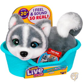 リトルライブペット Little Live Pets マイ・リアリー・リアル・パピー ミニ オーロラ ザ ハスキー インタラクティブ ぬいぐるみ ディスプレイバスケット付き 20種類以上の音 反応 子供用 子犬おもちゃ おもちゃ クリスマス