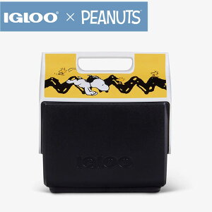 �y�ő�2000�~�N�[�|��15���zIgloo �C�O���[ × Snoopy �X�k�[�s�[ �R���{ �N�[���[�{�b�N�X PEANUTS �s�[�i�b�c × IGLOO �C�O���[ �`���[���[�u���E�� �W�O�U�O �v���C���C�g ��6.6L 9�ʑΉ� �ۗ�@�N�[