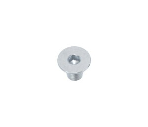 �O�������쏊 MKS M5×L8.5 ����t�{���g
