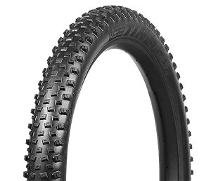 Rainbow Products Japan VEE Tire CROWN GEM for KIDS 16×2.25
