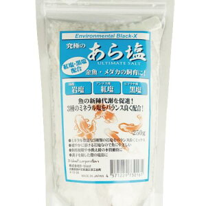 yB-blastzɂ̂牖 250g r[uXg