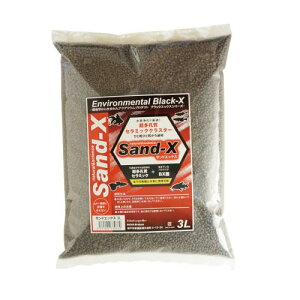 ���yB-blast�z Sand-X 500ml�@�T���h�G�b�N�X �r�[�u���X�g