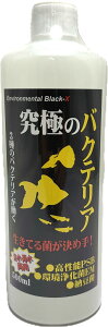 yB-blastzɂ̃oNeA 500ml r[uXg