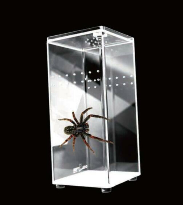 楽天市場】○【REPTIZOO】RZ クリスタルアクリル ブリーディング  