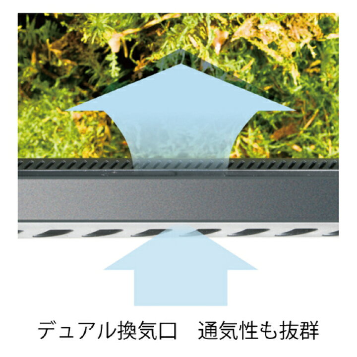 楽天市場】○【エキゾテラ】グラステラリウム 6045 EXOTERRA【ケージ 