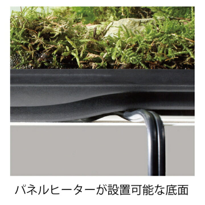 楽天市場】○【エキゾテラ】グラステラリウム 6045 EXOTERRA【ケージ 