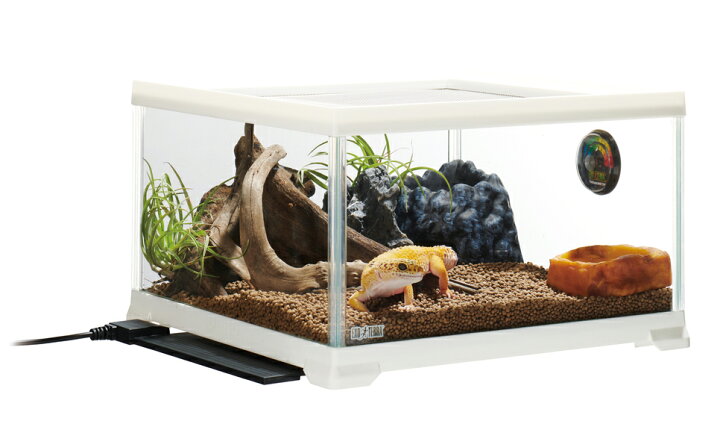 楽天市場】□ メーカー欠品【エキゾテラ】レオパ飼育キット M EXOTERRA 