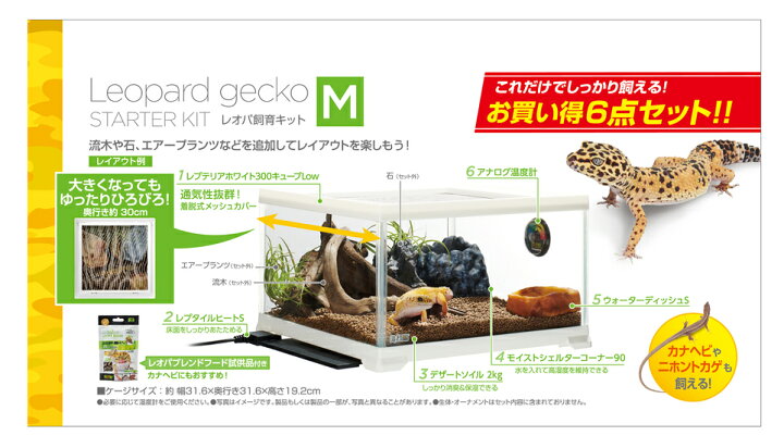 楽天市場】○【エキゾテラ】レオパ飼育キット M EXOTERRA【ケージ 水槽  
