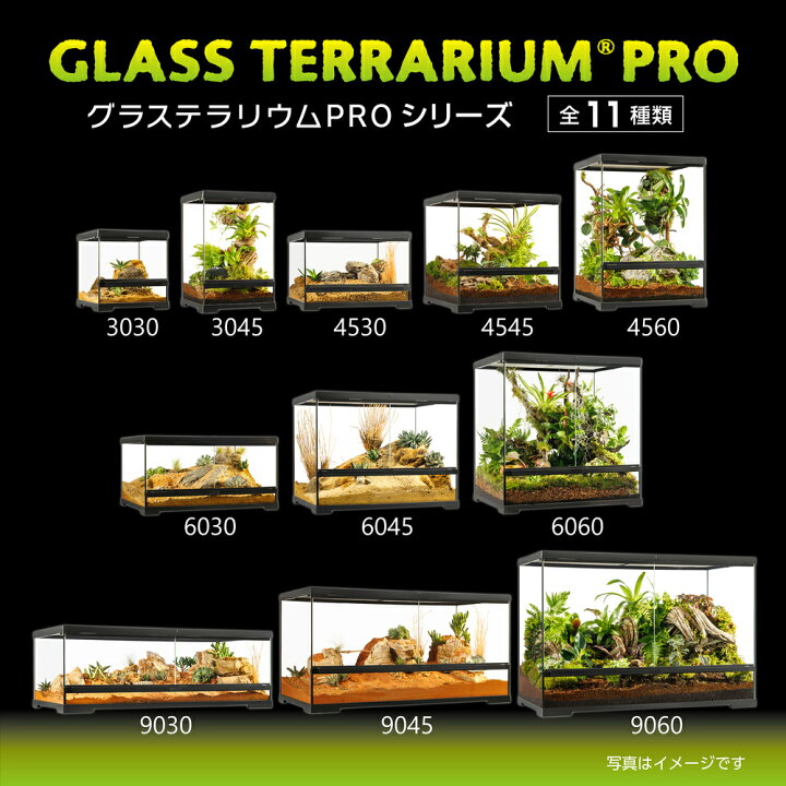 楽天市場】○【エキゾテラ】グラステラリウム PRO 3030 PT4400 