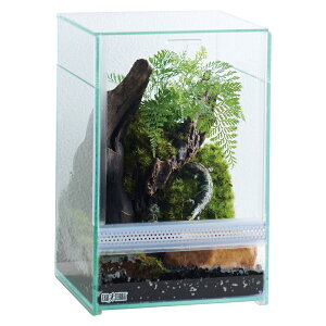 yGL]ezveA NAlItBbg 180@EXOTERRAyP[W  GEX WFbNXz