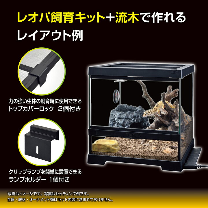 楽天市場】○【エキゾテラ】レオパ飼育キット GTP3030 EXOTERRA 