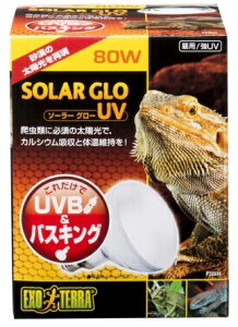 yGL]ez\[[O[UV 80w@EXOTERRA yƖ O  GEX WFbNXz