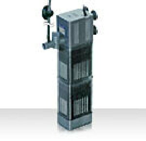 yJ~n^zIvXtB^[Zbg 3 60HZ@_{y|v |vz