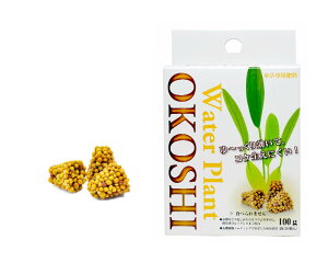 yJ~n^zp엿 OKOSHI 100g (20)@_{yh{ Y  z