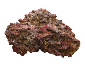 yJ~n^zJuV[ CtbN IWi XL 10.0Kg@_{yJuV[ CubNz