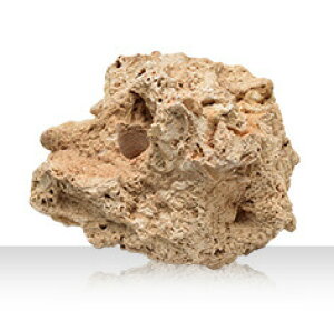 yJ~n^zz Jbg^Cv 30± @_{