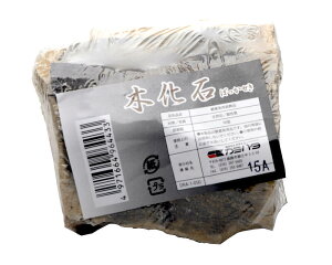 yJ~n^zANAEbN ؉(ڂ)@_{