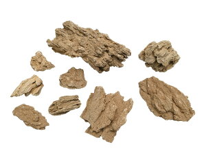 yJ~n^zANAEbN H(䂤񂹂)CAEgZbg@_{